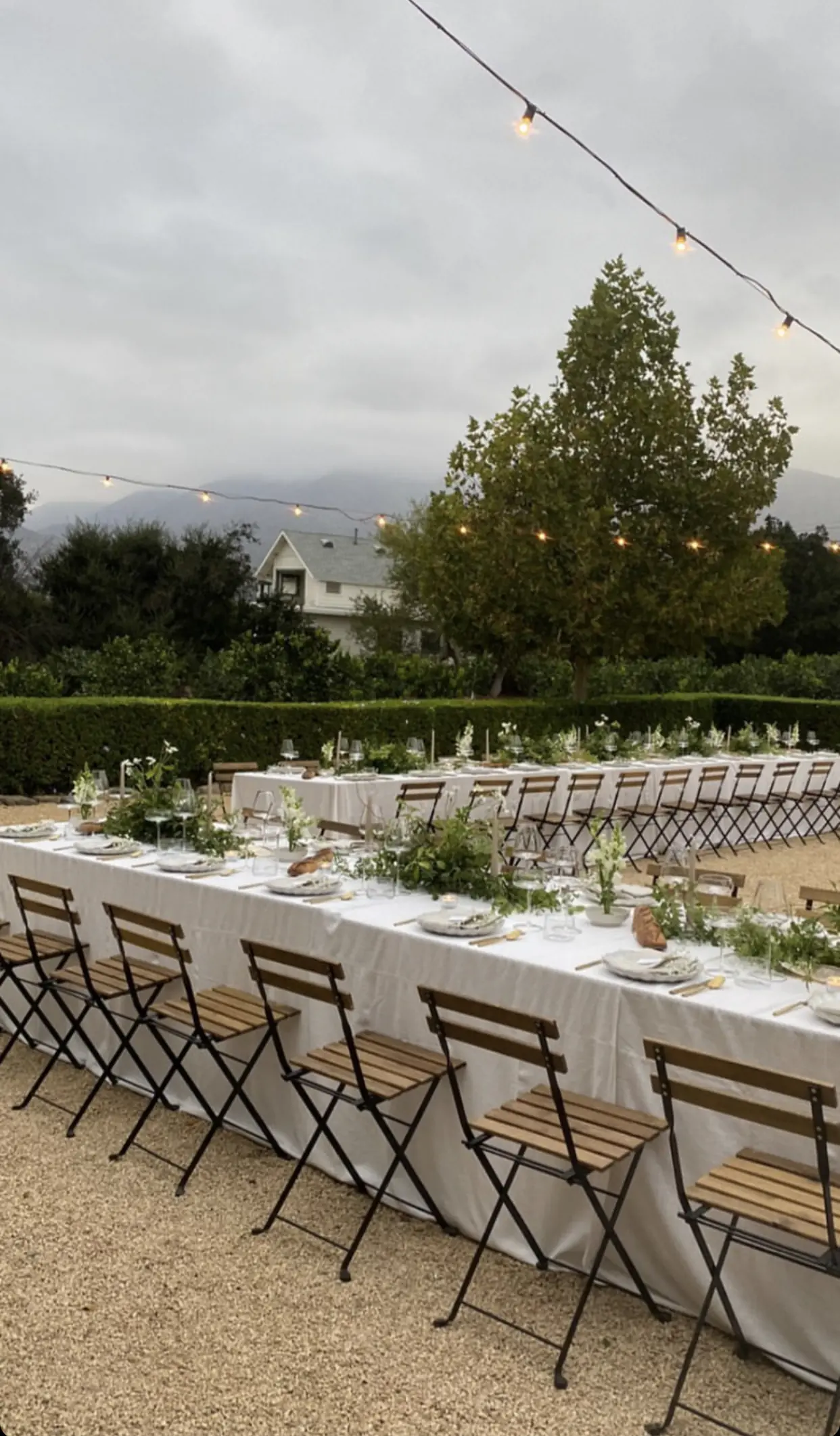 Artful floral design for private events, brands, hospitality and destination projects.